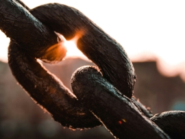 Supply Chain Partner