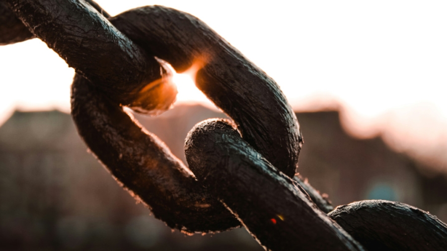 Supply Chain Partner