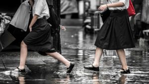 Read more about the article Freight Rates & Weather Risks: Preparing for Logistics Challenges This September