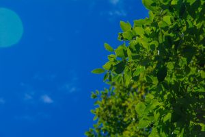 Read more about the article Verifiable Sustainability: Preparing for Stricter Carbon Regulations in Global Freight